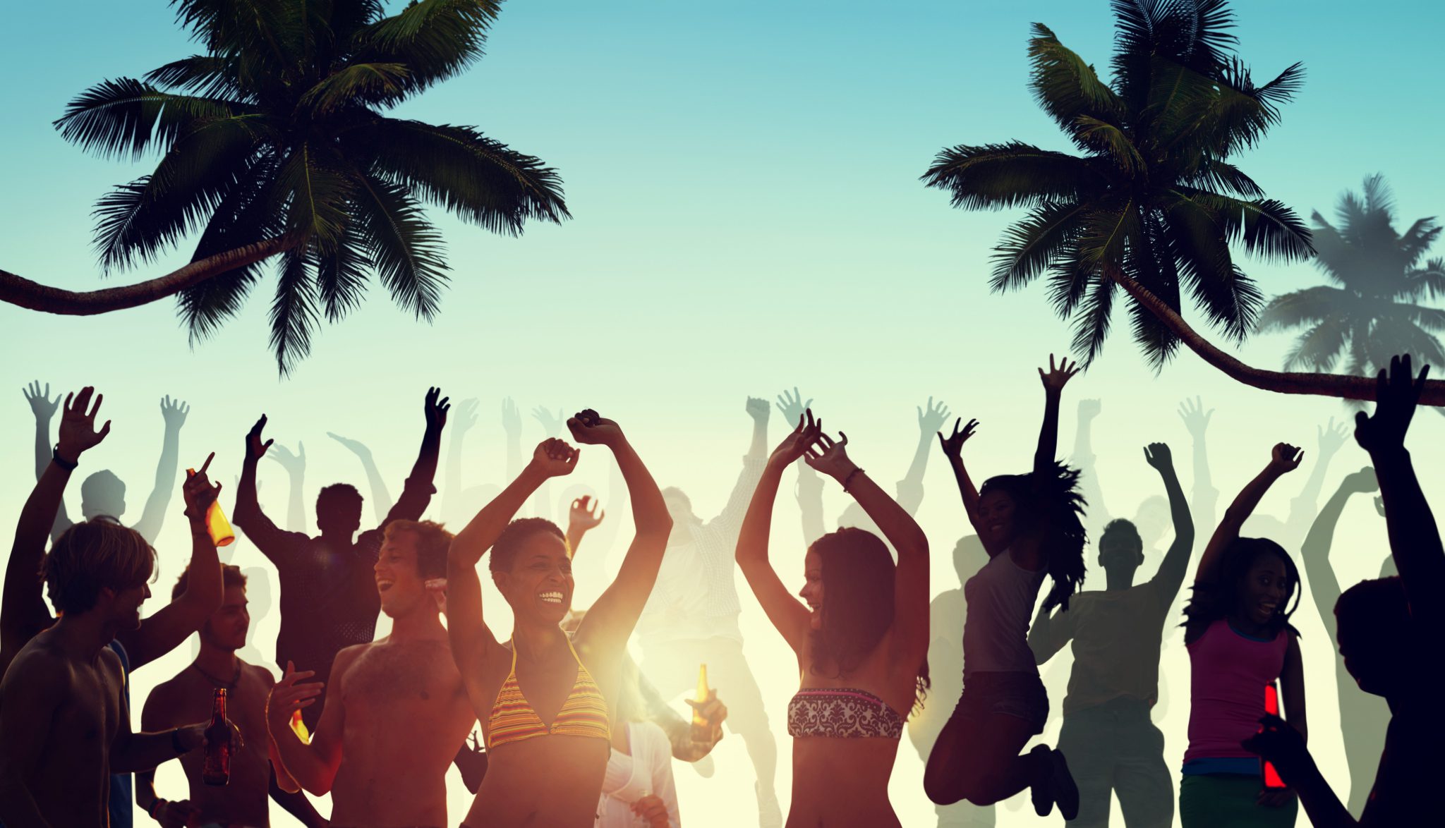 People Having a Party by the Beach